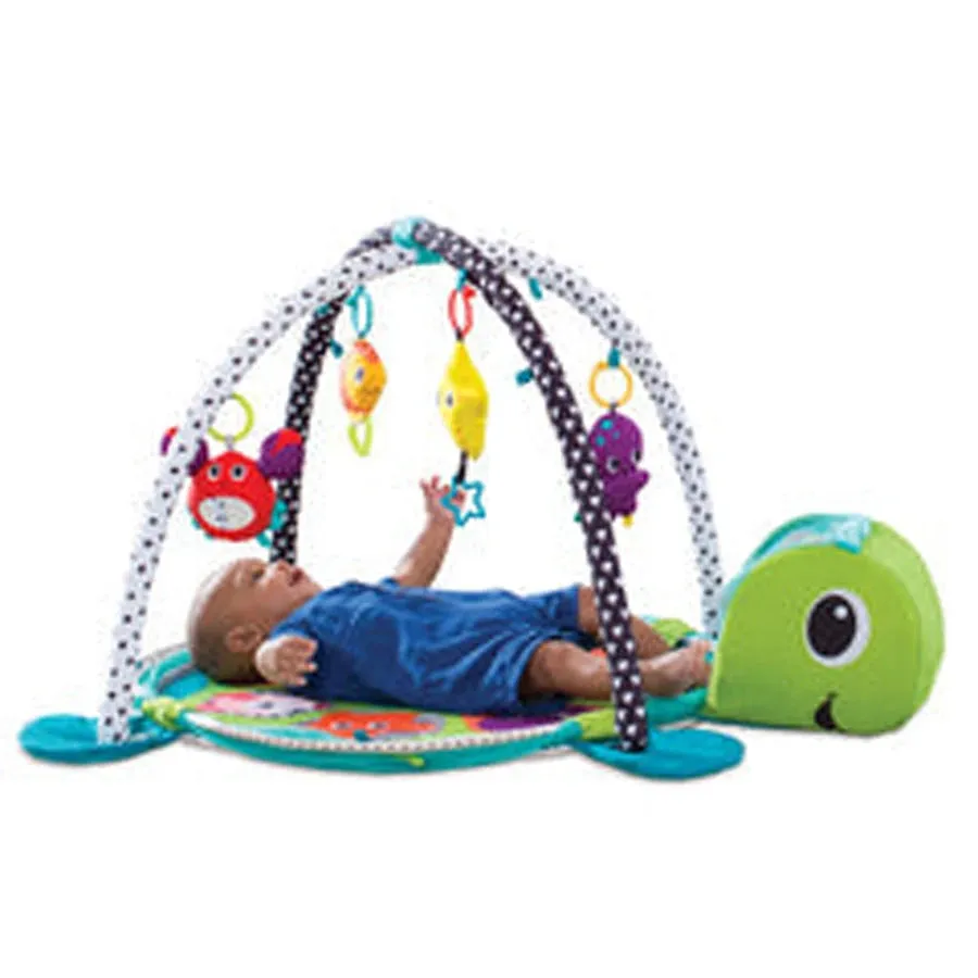 Infantino Grow With Me Activity Gym & Ball Pit