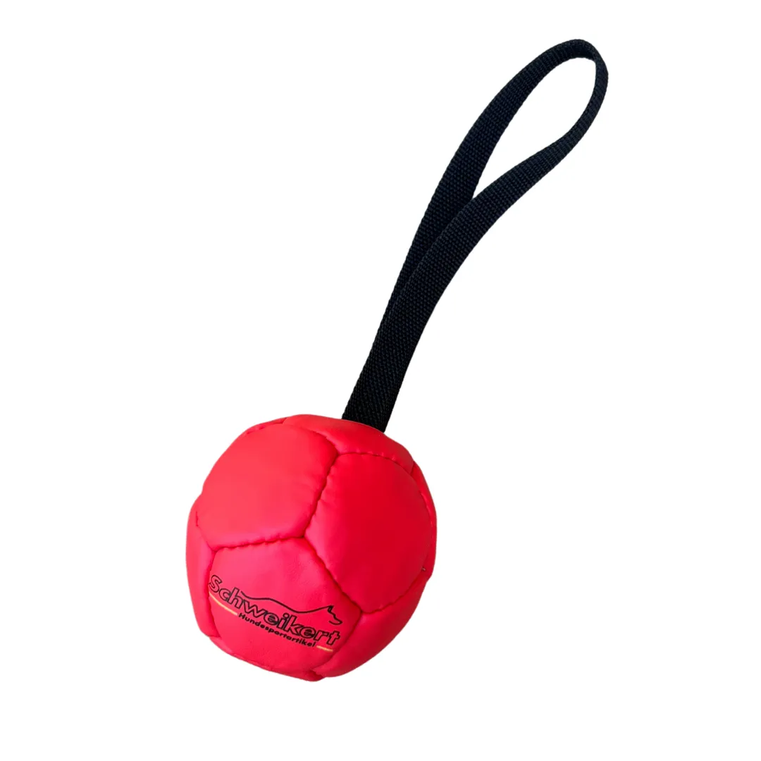 Schweikert Soccer Ball SILICONE