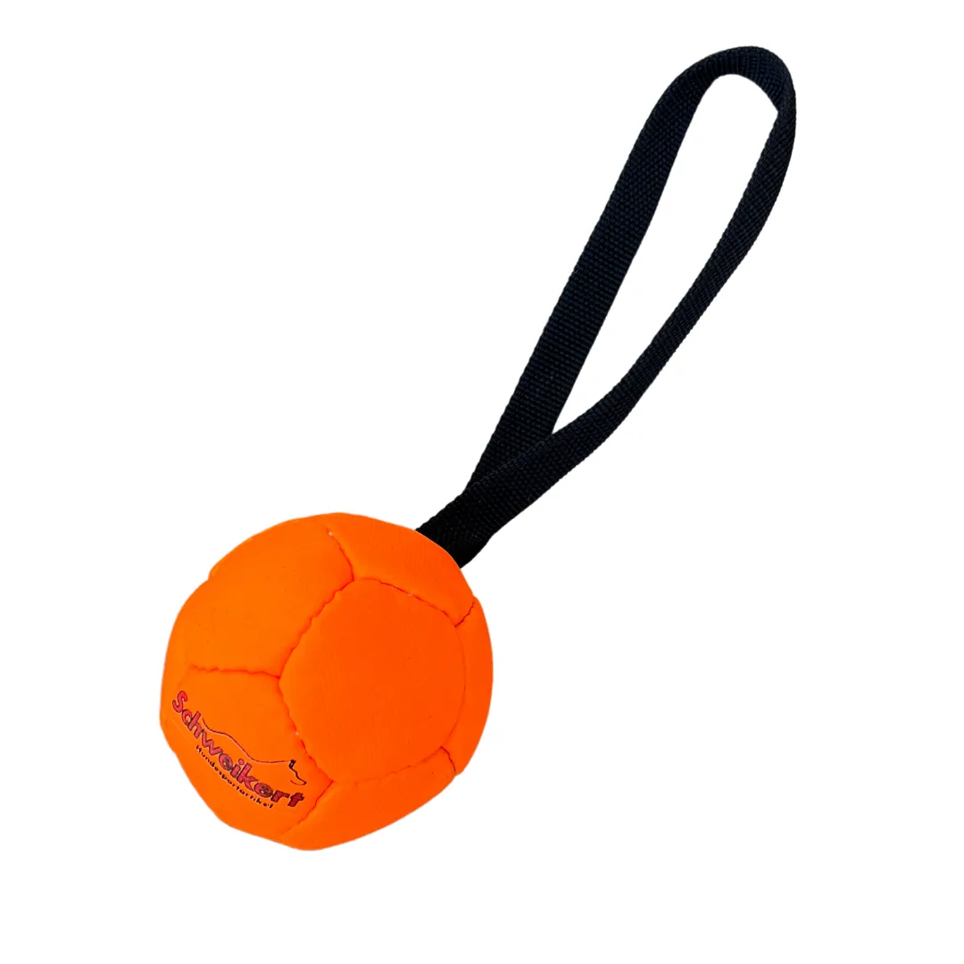 Schweikert Soccer Ball SILICONE