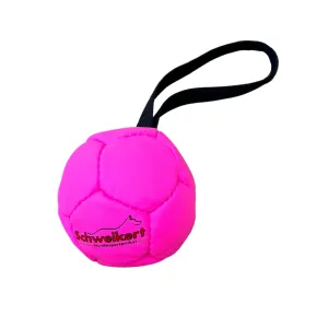 Schweikert Soccer Ball SILICONE