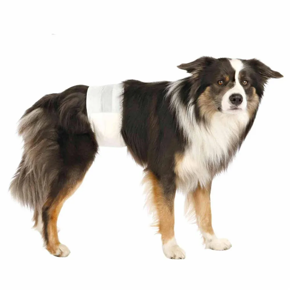 Trixie Diapers for Male Dogs (30x46cm)