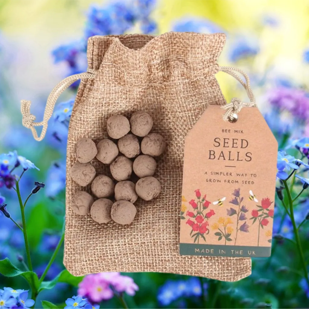 Wildflower Seed Ball Gift - 24 Garden Seed Balls in a Gift Bag - Bee Mix