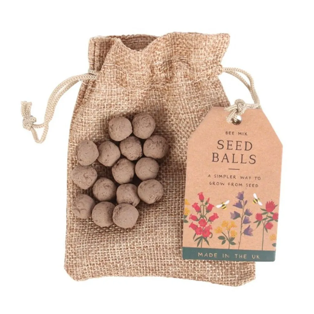 Wildflower Seed Ball Gift - 24 Garden Seed Balls in a Gift Bag - Bee Mix